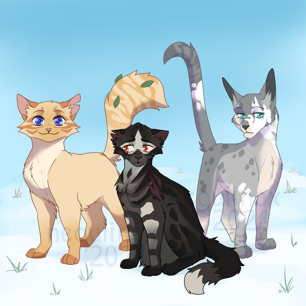 The Broken Code - Main Characters on Warrior-Cats-EH - DeviantArt