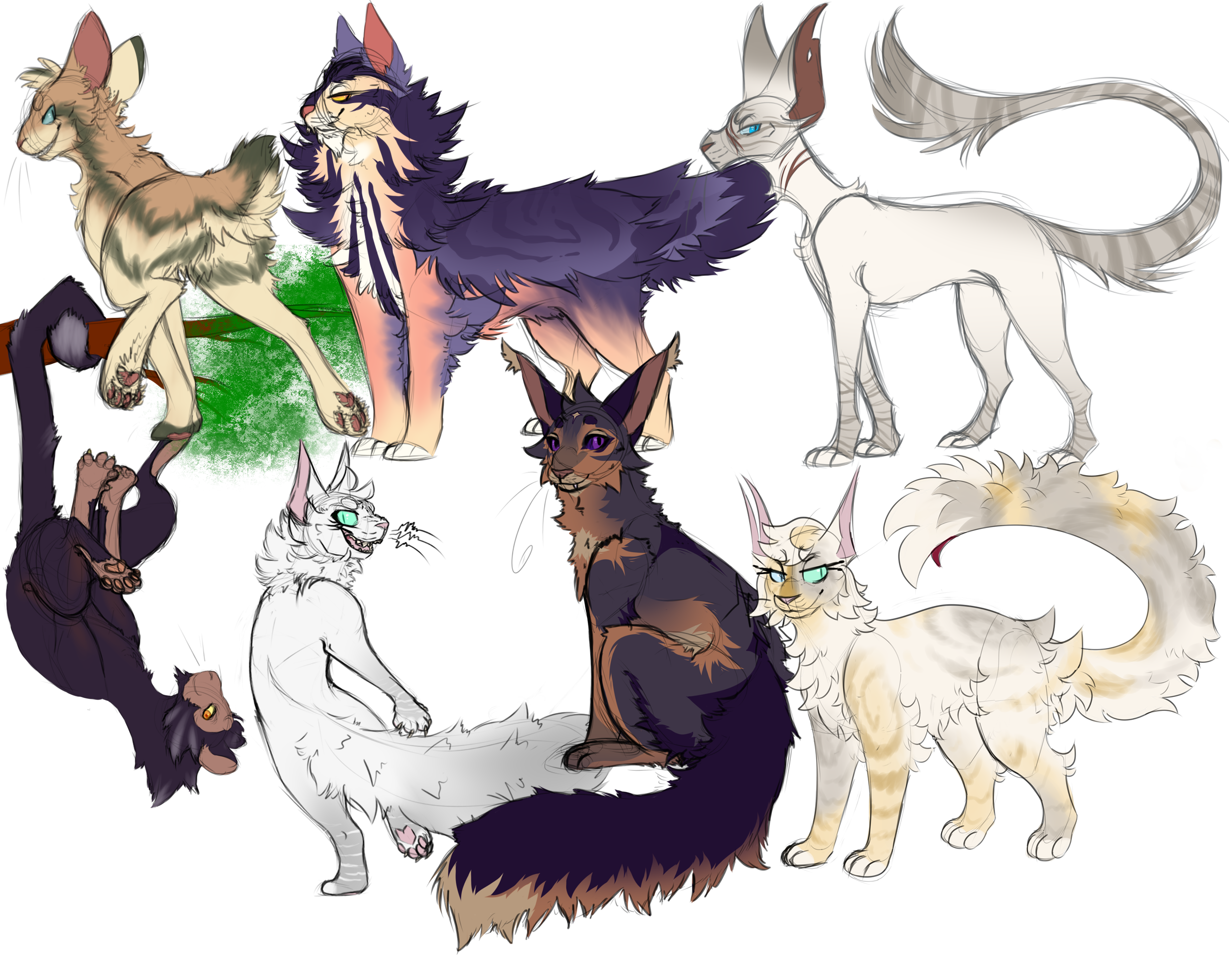 I still love Warrior Cats and always will aHHH Feel free to use these  designs when drawing Warriors! …