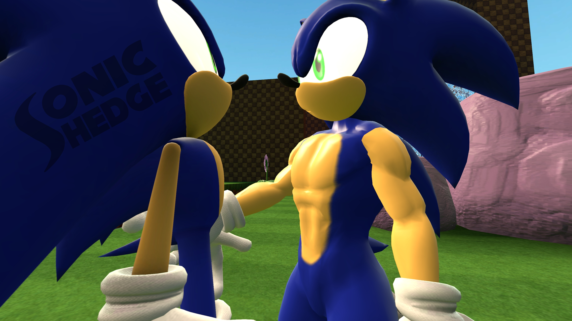 Sonic Duo - They Kiss - Single Panel.png by Jaden The Hedgehog 